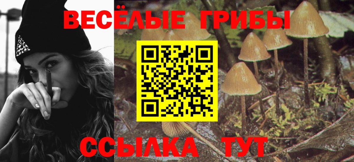 Галлюциногенные грибы мухоморы  Вход с VPN  Вязники 