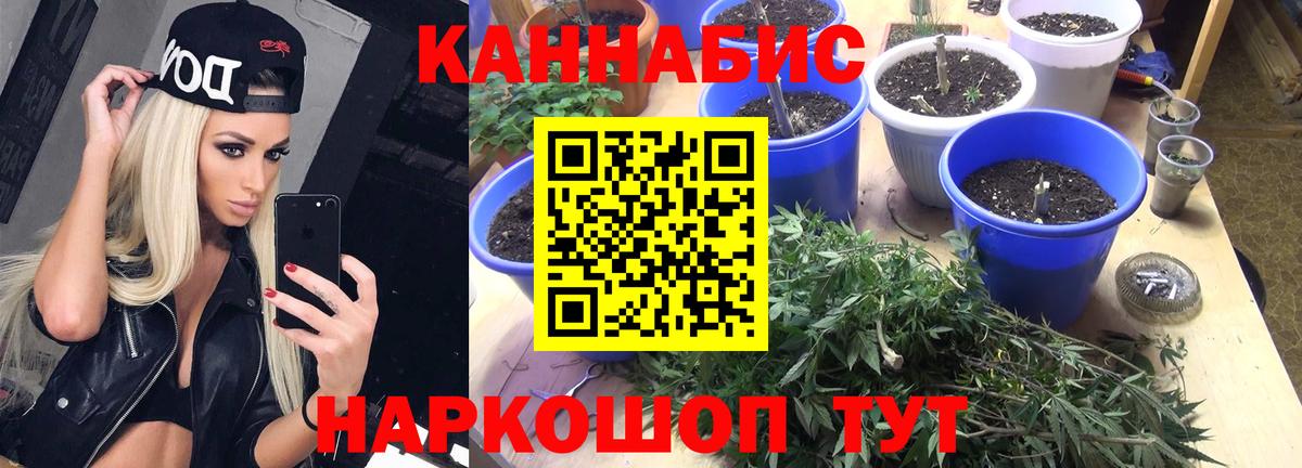 Конопля семена  Каннабис марихуана  Вязники  Вход с VPN  Шишки марихуана OG Kush  Бошки марихуана план 
